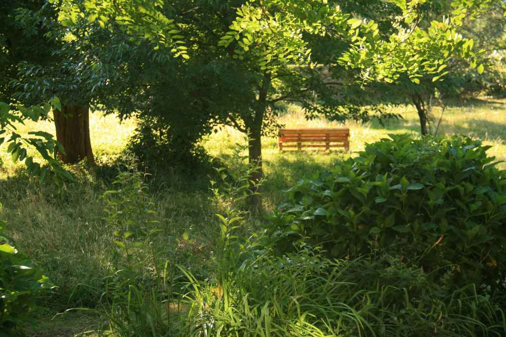 Le Bosquet