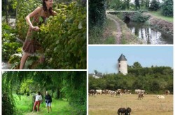gite avec piscine chauffée et couverte en campagne prés de NANTES