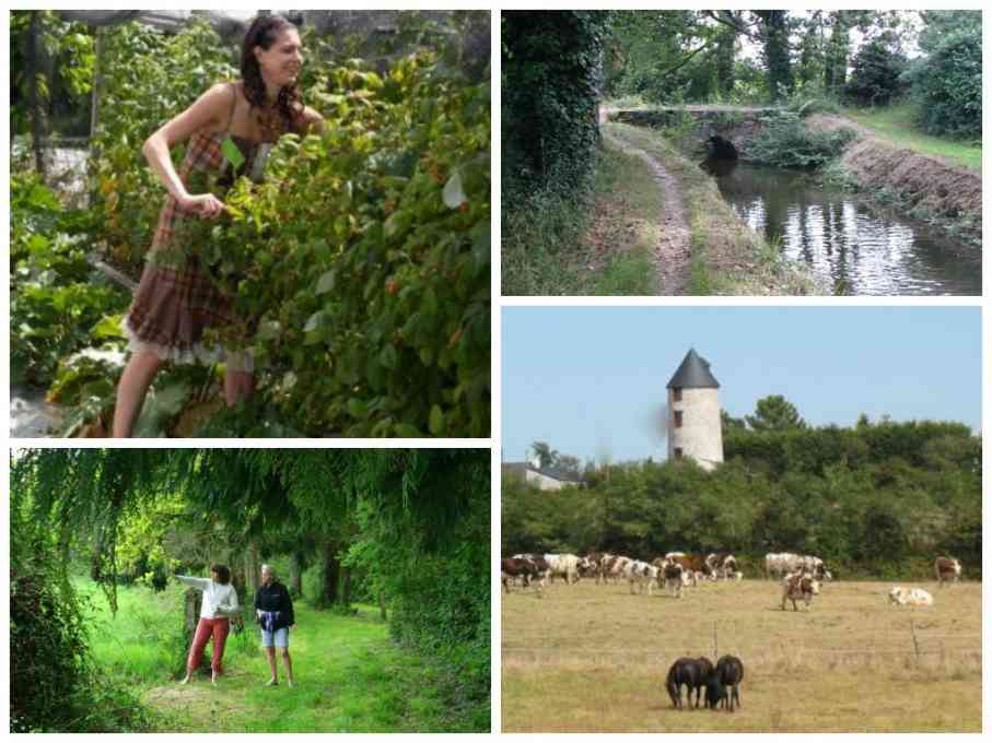 gite avec piscine chauffée et couverte en campagne prés de NANTES