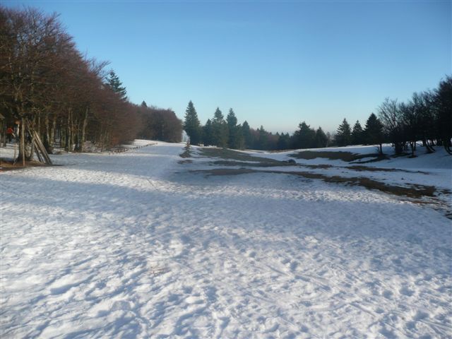 La Marguerite et le Panoramic