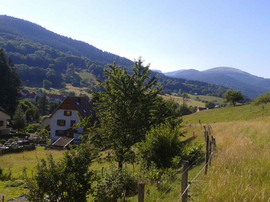 La Marguerite et le Panoramic