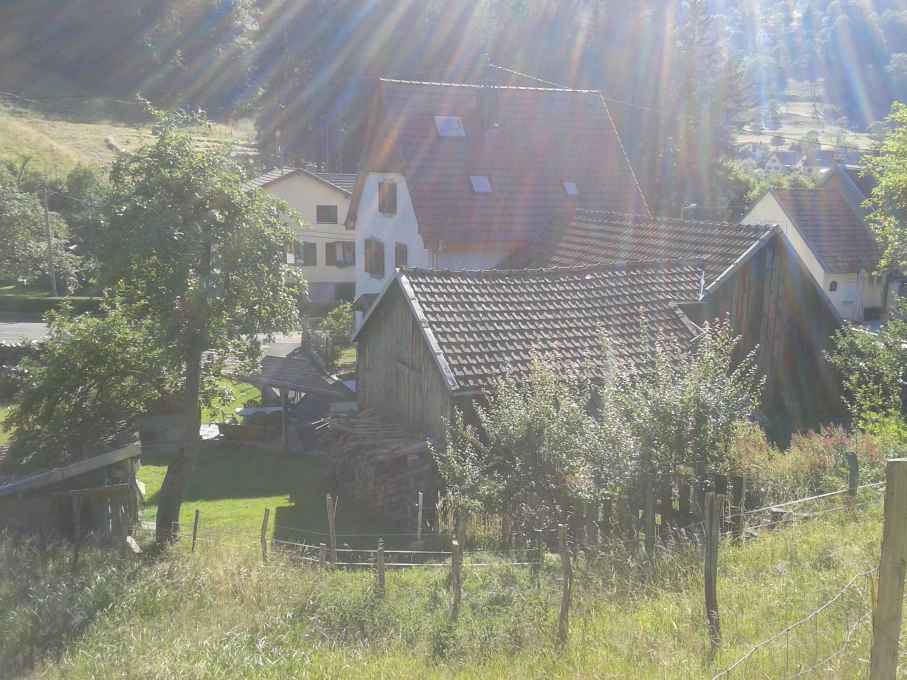 La Marguerite et le Panoramic