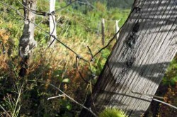 couleur ARDECHE