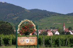 LA VIGNE BUISSONNIERE, Côté Cave