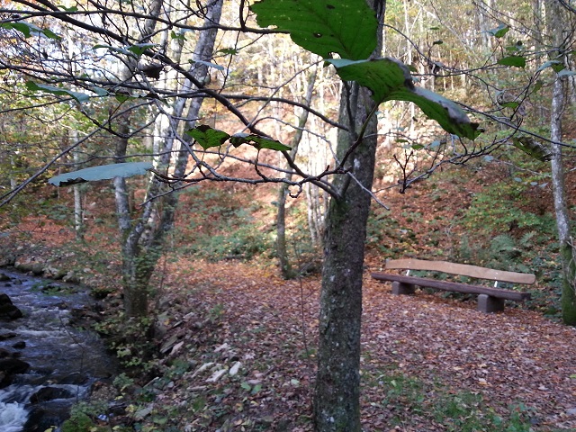Gite Nid Douillet Hautes Vosges