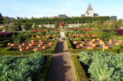 Le clos des livaudières