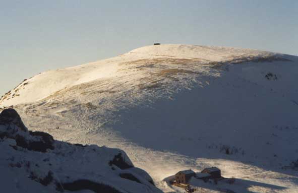 La Marguerite et le Panoramic