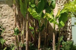 PRIEURE DE MOUQUET