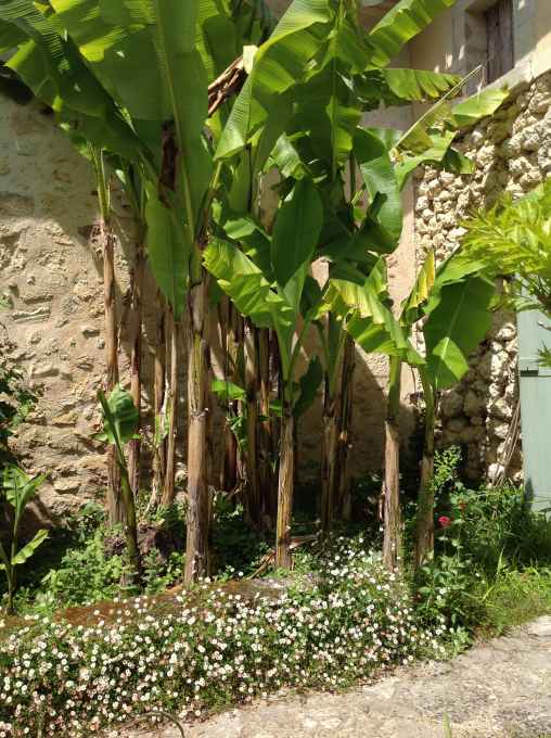 PRIEURE DE MOUQUET