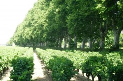 La Bastide