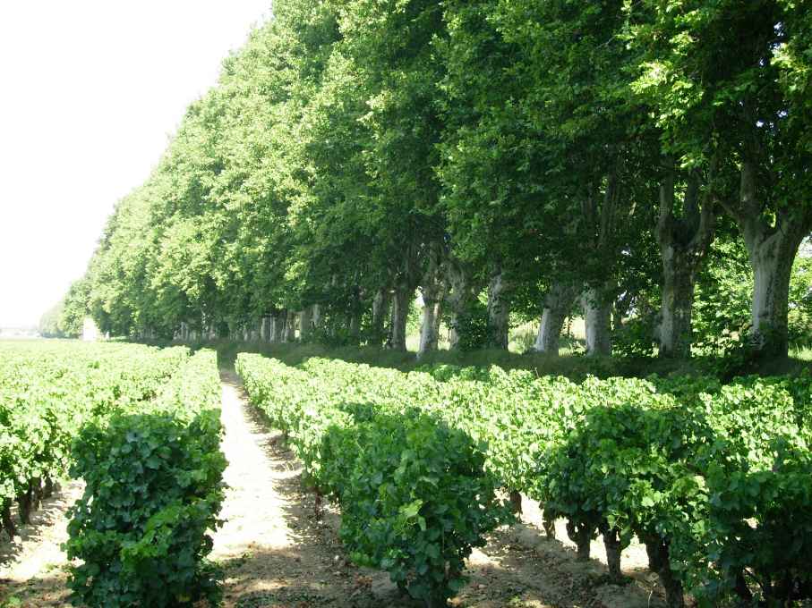 La Bastide