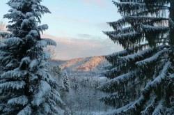 Le Châtillon à Belval Vosges, la maison dans la forêt.