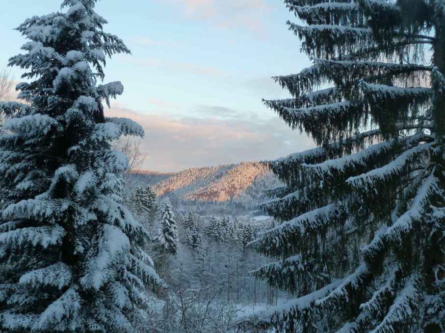 Le Châtillon à Belval Vosges, la maison dans la forêt.