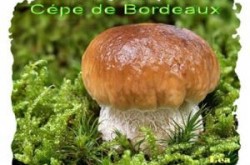couleur ARDECHE