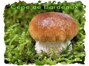 couleur ARDECHE