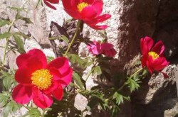 couleur ARDECHE