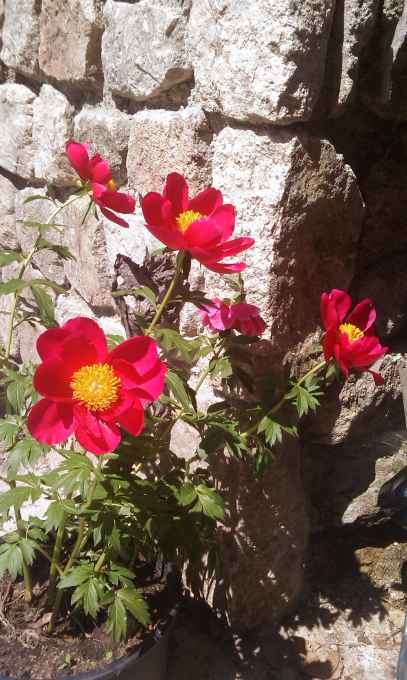 couleur ARDECHE