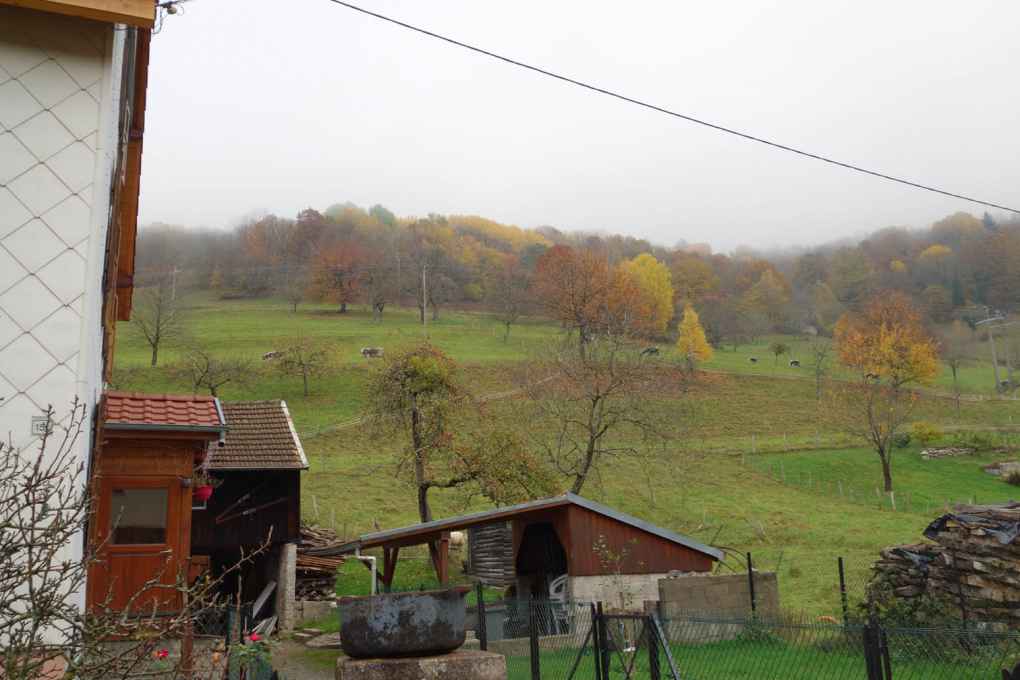 La Marguerite et le Panoramic
