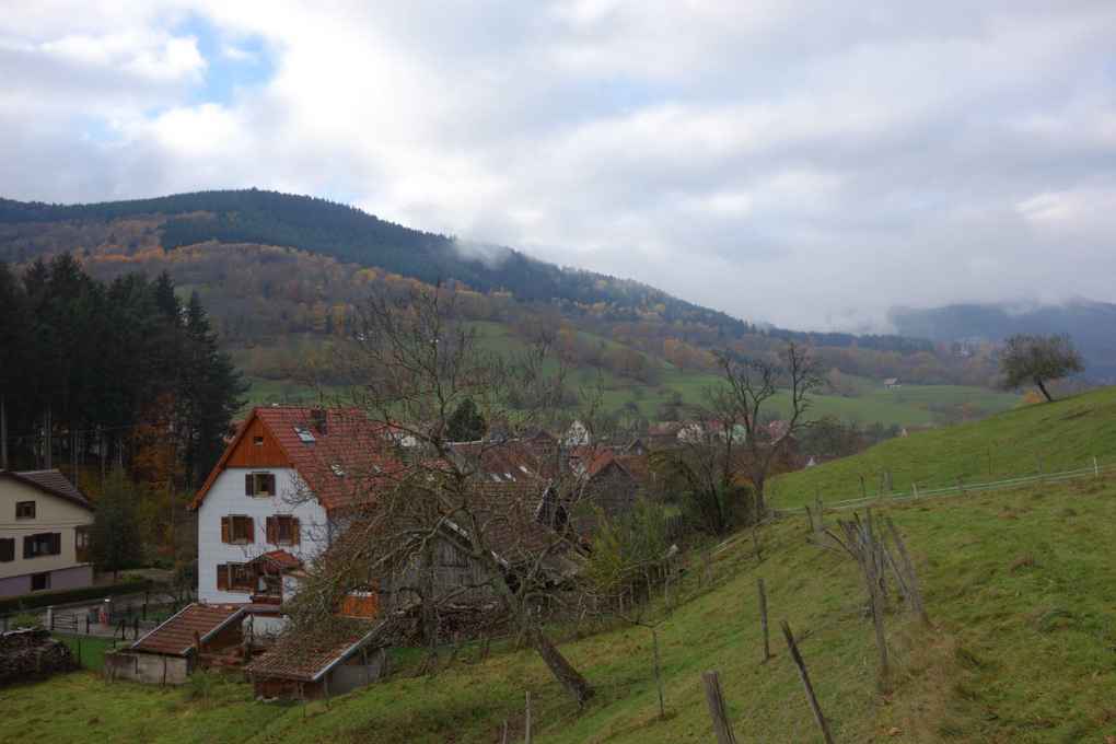 La Marguerite et le Panoramic