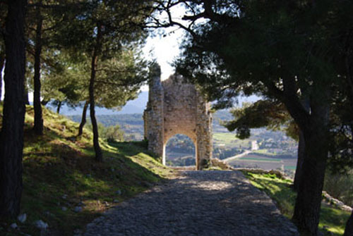 LES AMANDIERS