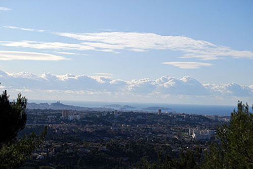 LES AMANDIERS