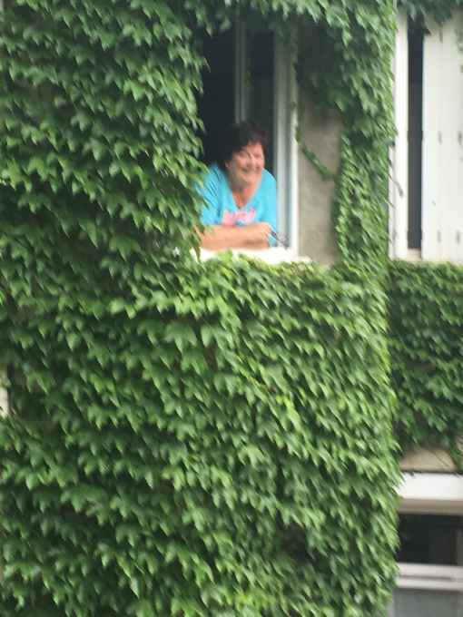 DAME CARCAS