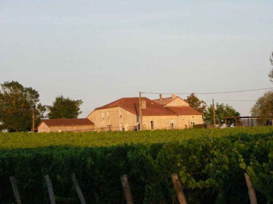 Domaine du Mayne