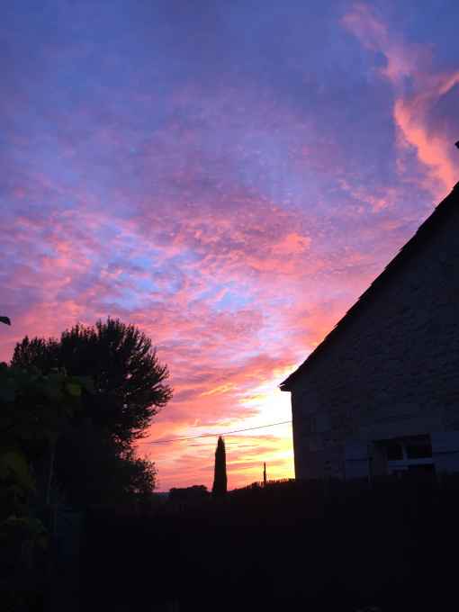 Domaine du Mayne